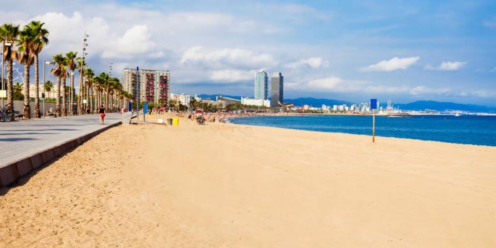 Puertas y parquets en Castelldefels
Castelldefels: mar, naturaleza y exclusividad residencial a 20 minutos de Barcelona
Castelldefels es un municipio con alto nivel de renta per cápita, reconocido por su playa de más de 5 km y su cercanía estratégica a Barcelona y al aeropuerto.